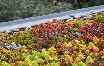 the cost of Enfield Highway green roof installation