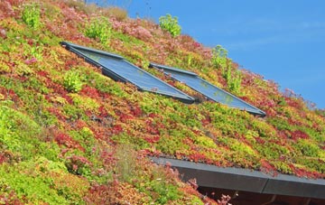 Enfield Highway living roof systems