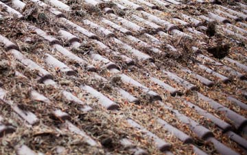 Enfield Highway roof cleaning companies