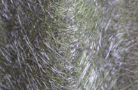 Enfield Highway fibreglass roof work